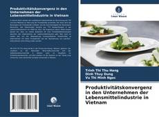 Couverture de Produktivitätskonvergenz in den Unternehmen der Lebensmittelindustrie in Vietnam