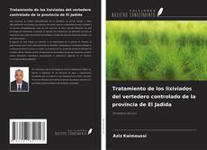 Couverture de Tratamiento de los lixiviados del vertedero controlado de la provincia de El Jadida