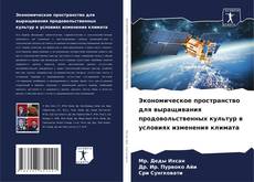 Buchcover von Экономическое пространство для выращивания продовольственных культур в условиях изменения климата