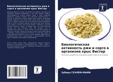 Buchcover von Биологическая активность ржи и сорго в организме крыс Вистар