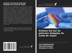 Síntesis Sol-Gel de películas delgadas de óxido de níquel kitap kapağı