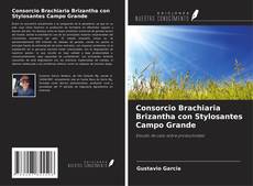 Couverture de Consorcio Brachiaria Brizantha con Stylosantes Campo Grande