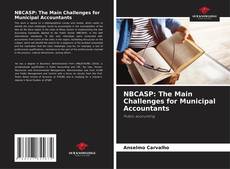 Capa do livro de NBCASP: The Main Challenges for Municipal Accountants 