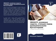 Capa do livro de НБКАСП: основные задачи, стоящие перед муниципальными бухгалтерами 