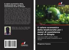 Borítókép a  Il valore economico della biodiversità per i mezzi di sussistenza locali in Etiopia - hoz