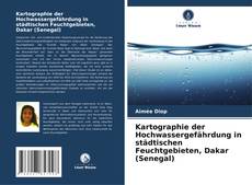 Capa do livro de Kartographie der Hochwassergefährdung in städtischen Feuchtgebieten, Dakar (Senegal) 