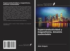 Superconductividad y magnetismo, binomio sustentable kitap kapağı