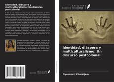 Identidad, diáspora y multiculturalismo: Un discurso postcolonial的封面