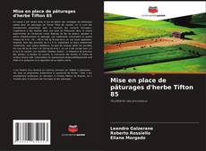 Capa do livro de Mise en place de pâturages d'herbe Tifton 85 