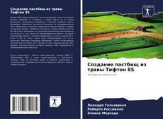 Copertina di Создание пастбищ из травы Тифтон 85