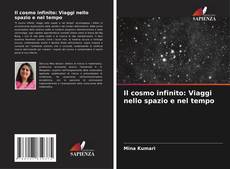 Borítókép a  Il cosmo infinito: Viaggi nello spazio e nel tempo - hoz