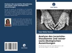 Borítókép a  Analyse des Jucazinho-Staudamms und seiner sozio-ökologischen Auswirkungen - hoz