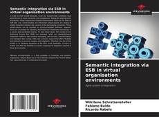 Borítókép a  Semantic integration via ESB in virtual organisation environments - hoz