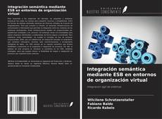 Integración semántica mediante ESB en entornos de organización virtual kitap kapağı