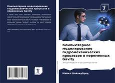 Copertina di Компьютерное моделирование гидромеханических процессов в переменных Gavity