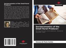 Couverture de Socioeconomics of the Small Rural Producer: