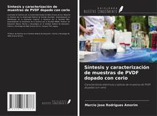 Copertina di Síntesis y caracterización de muestras de PVDF dopado con cerio