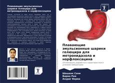 Buchcover von Плавающие эмульсионные шарики гелюцира для метронидазола и норфлоксацина