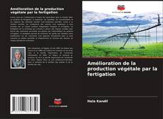 Capa do livro de Amélioration de la production végétale par la fertigation 