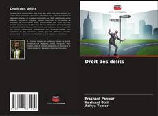 Capa do livro de Droit des délits 