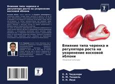 Buchcover von Влияние типа черенка и регулятора роста на укоренение восковой яблони