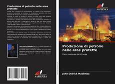 Borítókép a  Produzione di petrolio nelle aree protette - hoz