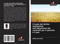 Il ruolo del diritto ambientale nell'attuazione dei contratti per il petrolio e il gas kitap kapağı