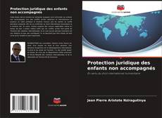 Protection juridique des enfants non accompagnés kitap kapağı