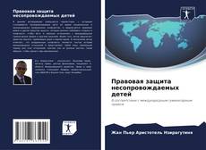 Capa do livro de Правовая защита несопровождаемых детей 