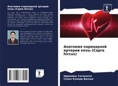 Capa do livro de Анатомия коронарной артерии козы (Capra hircus) 