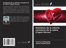 Couverture de Anatomía de la arteria coronaria de la cabra (Capra hircus)