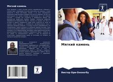 Мягкий камень kitap kapağı