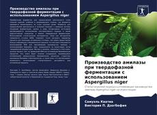 Couverture de Производство амилазы при твердофазной ферментации с использованием Aspergillus niger