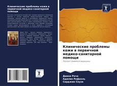 Capa do livro de Клинические проблемы кожи в первичной медико-санитарной помощи 