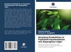 Borítókép a  Amylase-Produktion in Feststoff-Fermentation mit Aspergillus niger - hoz