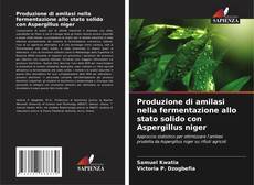 Borítókép a  Produzione di amilasi nella fermentazione allo stato solido con Aspergillus niger - hoz