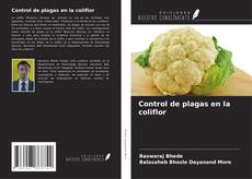 Couverture de Control de plagas en la coliflor