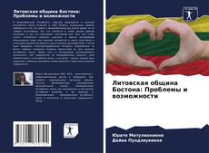 Couverture de Литовская община Бостона: Проблемы и возможности