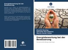 Capa do livro de Energiebewertung bei der Bewässerung 