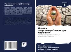 Capa do livro de Оценка энергопотребления при орошении 