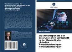 Capa do livro de Wachstumspunkte der belarussischen Wirtschaft in der Dynamik der globalen Herausforderungen Herausforderungen 