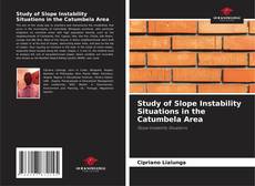 Couverture de Study of Slope Instability Situations in the Catumbela Area