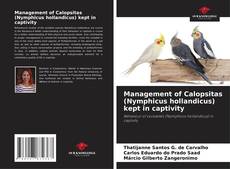 Couverture de Management of Calopsitas (Nymphicus hollandicus) kept in captivity