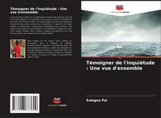 Témoigner de l'inquiétude : Une vue d'ensemble kitap kapağı