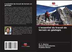 L'essentiel du travail de terrain en géologie kitap kapağı