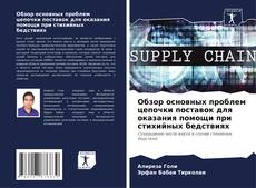 Capa do livro de Обзор основных проблем цепочки поставок для оказания помощи при стихийных бедствиях 