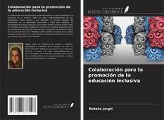 Buchcover von Colaboración para la promoción de la educación inclusiva