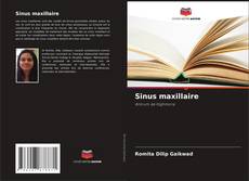 Sinus maxillaire kitap kapağı