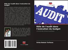 Rôle de l'audit dans l'exécution du budget kitap kapağı