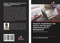 Buchcover von Segnali neotettonici dal bacino del Bengala settentrionale in Bangladesh